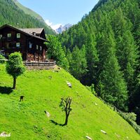 Es war nie leicht das Leben am Steilhang.