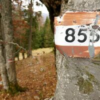 Die Natur hat alles im Griff