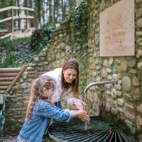 Stefaniequelle_St. Ruprecht an der Raab_Oststeiermark