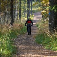 Loipenuntergrund am Honkalampi