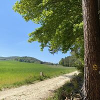 Leininger Burgenweg
