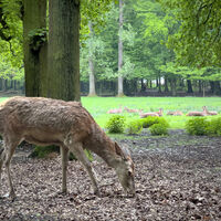 Wildgehege Troisdorf