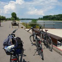Germersheimer Wasservielfalt Rheinvorland mit Radweg