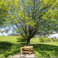 Trekkingplatz D3 - Rhenequelle bei Schweinsbühl