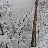 Semmering - Eselstein