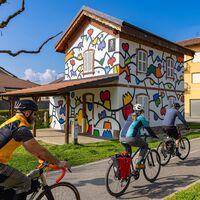 Vigone - Via delle Risorgive
