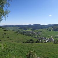 Wiesenlandschaft oberhalb des Scheibenfelsen