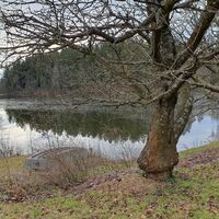Sagteich