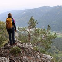 Ausblick ins Liesingtal