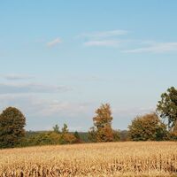 Herbstlandschaft