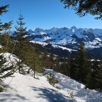 Schneeschuhtrail Schwarzenbühl-Panoramatrail
