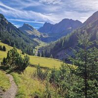 Die große Wiese ist erreicht, erst noch 200m weiter laufen, dann nach rechts unten weglos abschwenken.