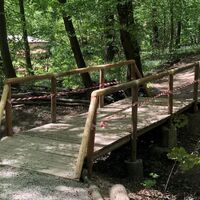 Rundweg Wildschweingatter