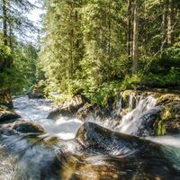 Wilde Wasser am Untertalbach