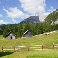 bei der Filzmoosalm