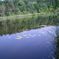 Kleiner See