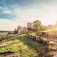 DSGVO_Z_Brackenheim_Burg Neipperg_03_WEB