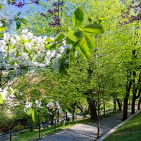 schlossberg graz: über den dächern der stadt_img_26405920