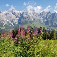 Panoramablick