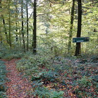 am Rückweg