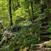 Aufstieg zur Ruine Wieladingen