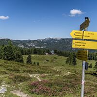 20260713_Sommer_5512.jpg