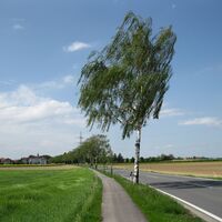 Sieghartskirchen - Trasdorf