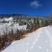 4.1 km Links oben: alternative Route zum Blochboden