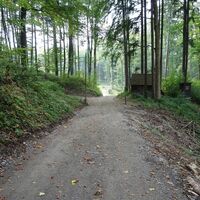 Abstieg am Stauden- und Quellenweg