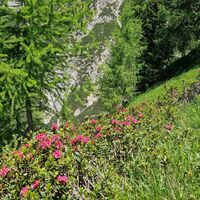 Blickfang beim Abstieg