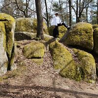 1.0 km Felsblöcke mit Baum