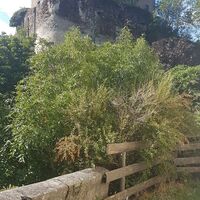 Schloss von Kapelle aus gesehen