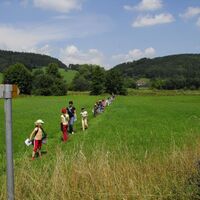 Naturlehrpfad Billafingen