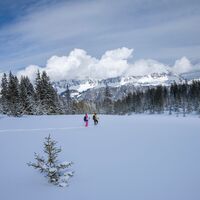 Aussicht auf der Schönhalde geniessen