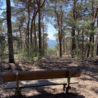 Aussichtspunkt am Leininger Burgenweg