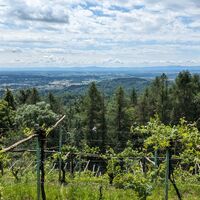 Panorama von Case Vigne