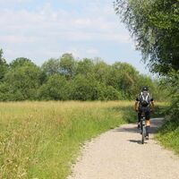 Fahrradfahren im Ried