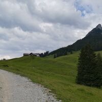 Ziel erreicht: Walderalm