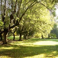 Kurpark Bad Gleichenberg