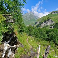 Nach dem Aufstieg vom Leiterfall ändert sich die Landschaft wieder ein bisschen. Wir kommen an grünen Alpenwiesen vorbei, auf denen Rinder zufrieden grasen.