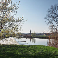 Werra am Wehr Falken