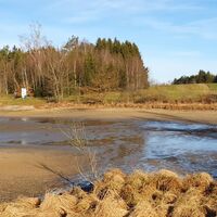 Beim Föhrenteich auf Trail entlang des Waldrandes