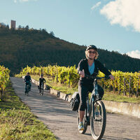Fahrradfahren im Weinberg