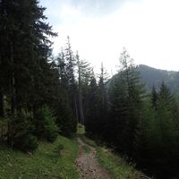 Blick zum Röthelstein rüber