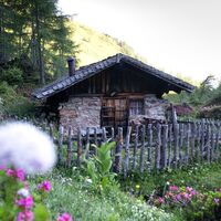 IMG_5632.jpg