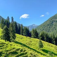 Ausblicke am Weg der MTB Tour "Rund um den Guffert"