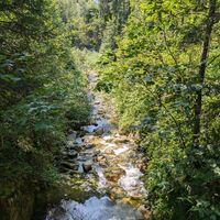 Scheffau_Kneippweg_Trattenbach_Sommer