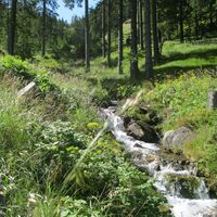 Zum Lärchkogel