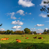 Landschaftsidylle bei Farven
