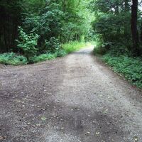 Salzgitter Höhenzug, Wanderweg 25 Waldausgang bei Altenhagen